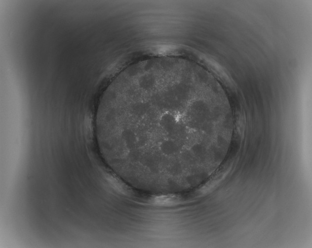 X0000111170461200907011353