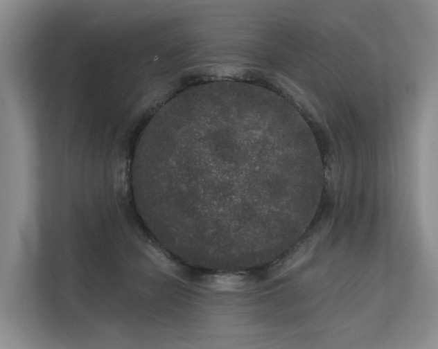 X0000111170462200907011353