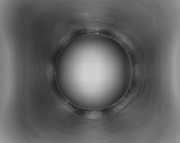 X0000111170463200907011353