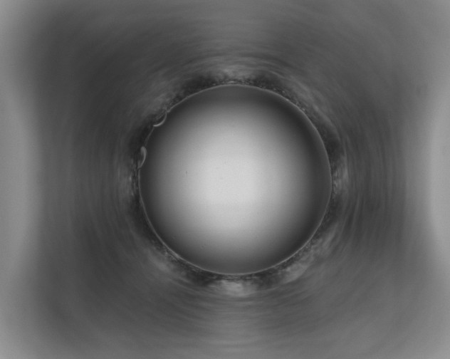 X0000111170464200907011353