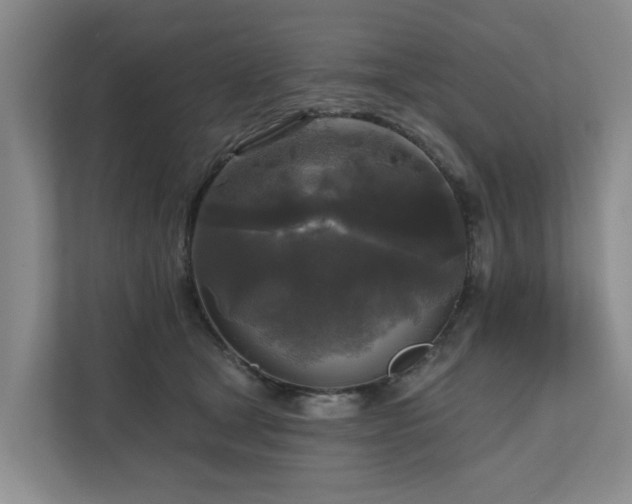 X0000111170465200907011353