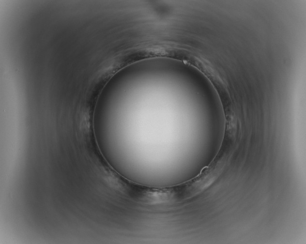 X0000111170466200907011353