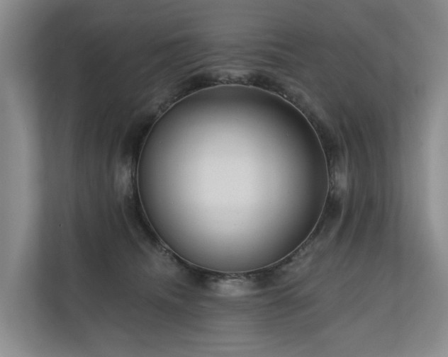 X0000111170468200907011353