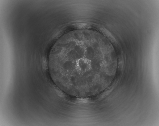 X0000111170469200907011353