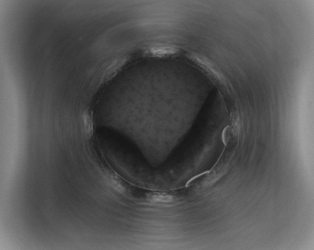 X0000111170471200907011353