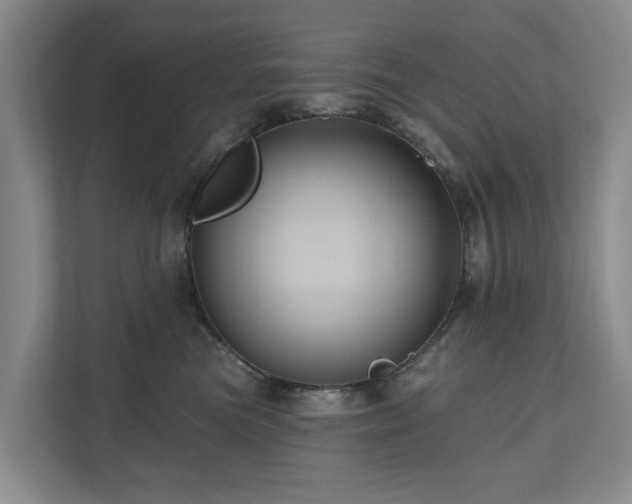 X0000111170473200907011353