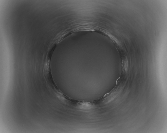 X0000111170475200907011353