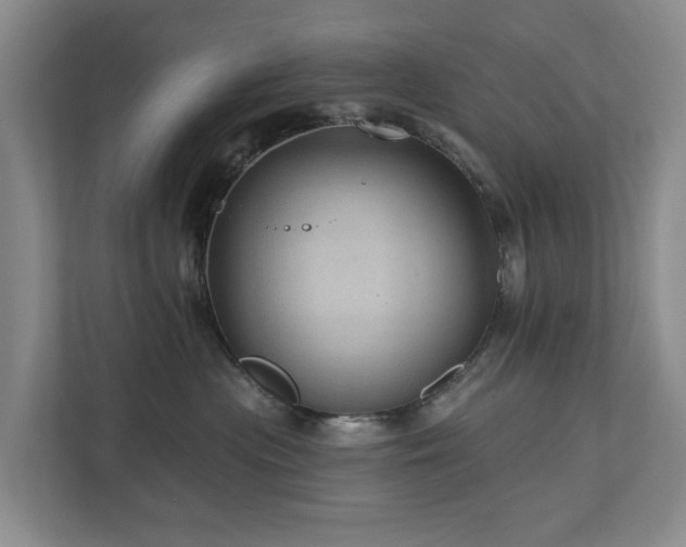 X0000111170477200907011353