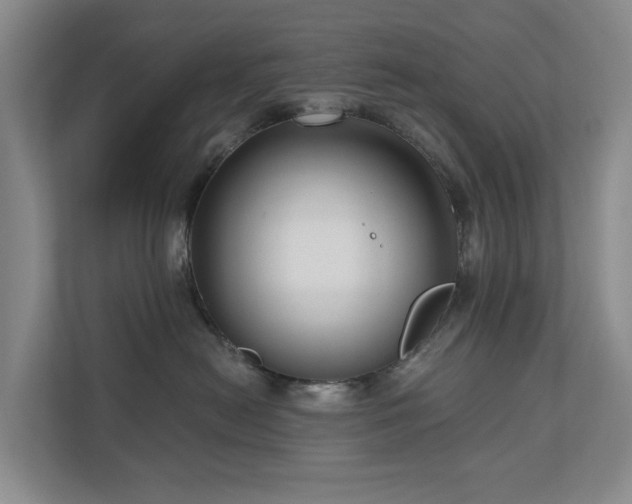 X0000111170478200907011353