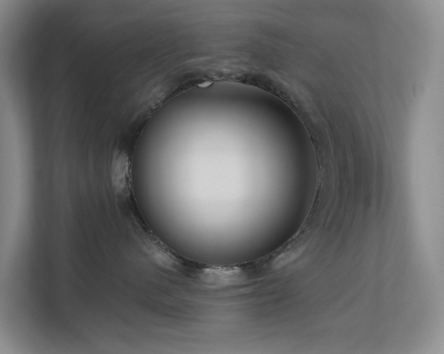 X0000111170480200907011353