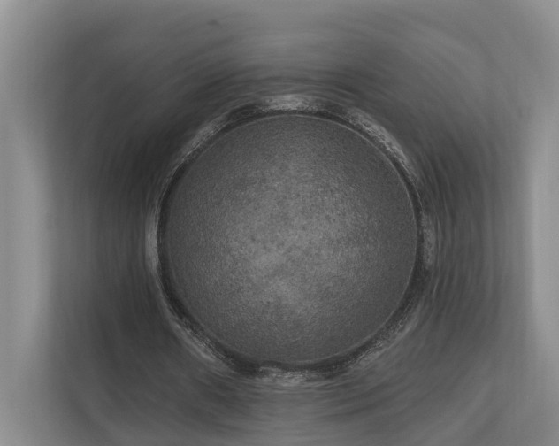 X0000111170482200907011352