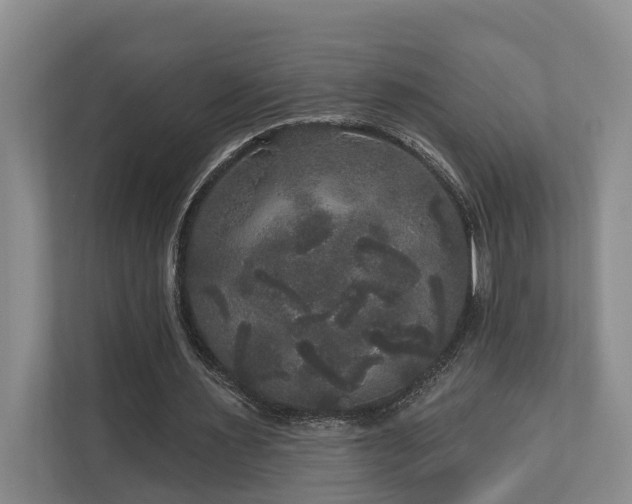 X0000111170483200907011352