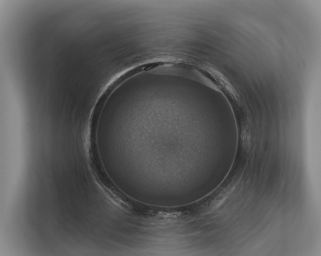 X0000111170484200907011352