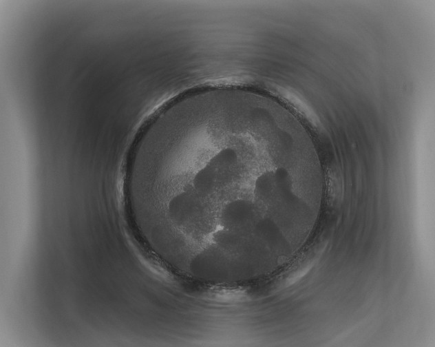 X0000111170491200907011352