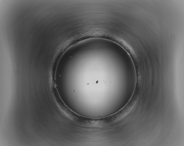 X0000111170493200907011352