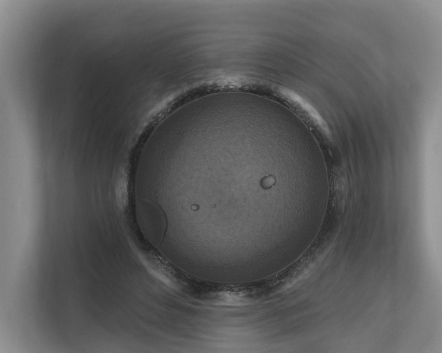 X0000111170496200907011352