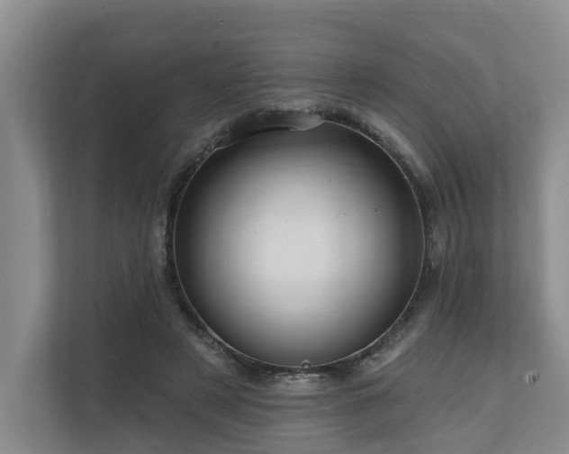 X0000111170497200907011352