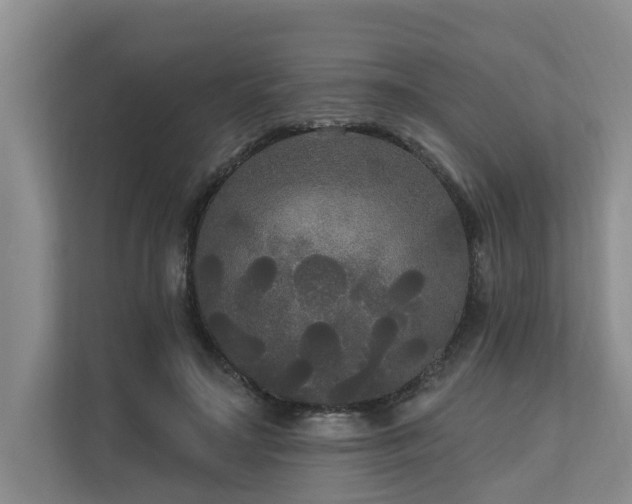 X0000111170499200907011352