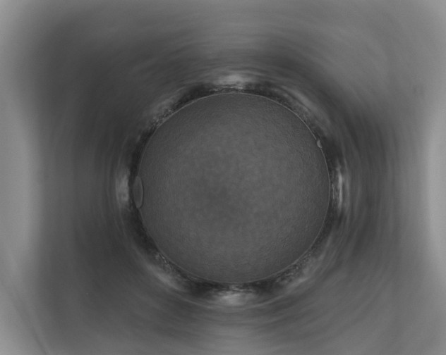 X0000111170504200907011352