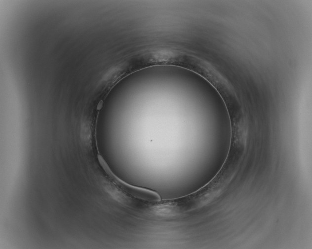 X0000111170505200907011352