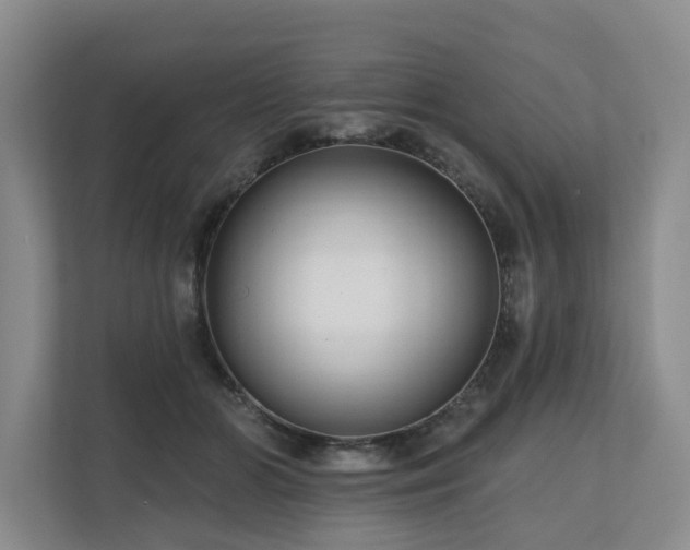 X0000111170510200907011352