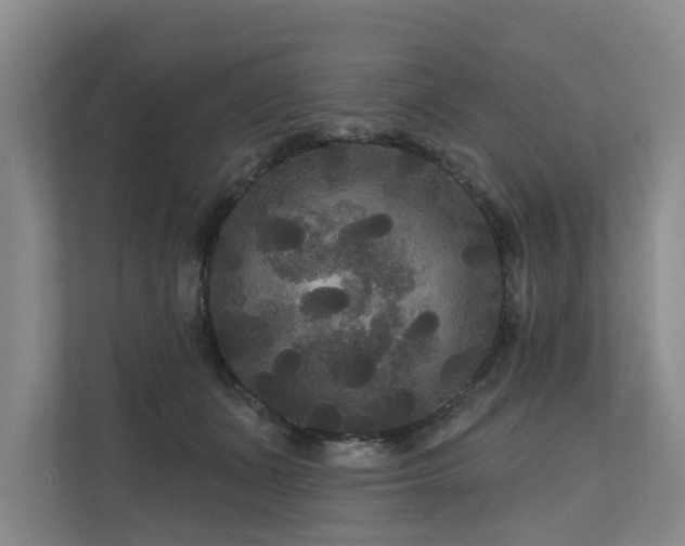 X0000111170511200907011352