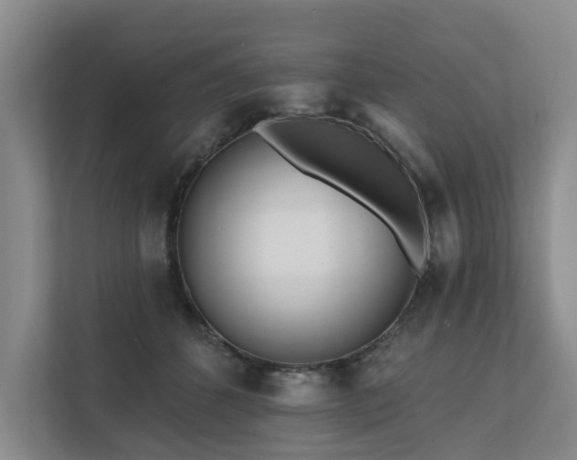 X0000111170512200907011352