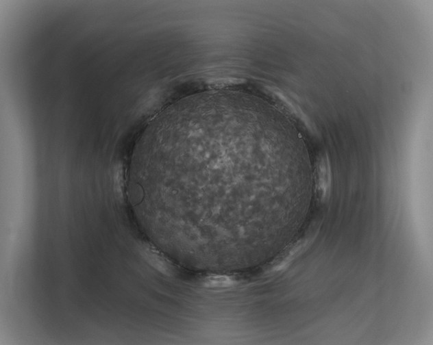 X0000111170519200907011352