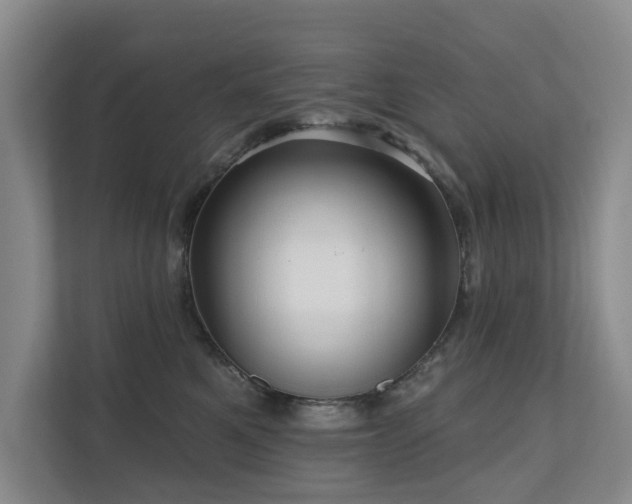 X0000111170521200907011352