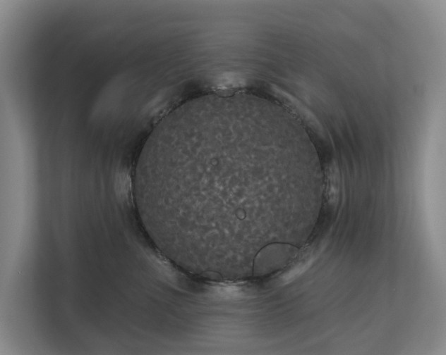 X0000111170523200907011352