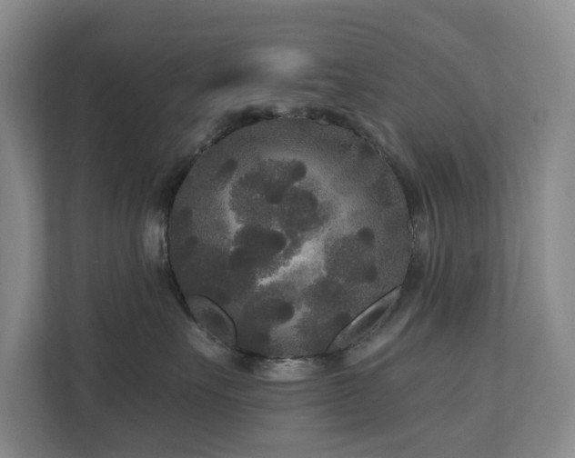 X0000111170527200907011352