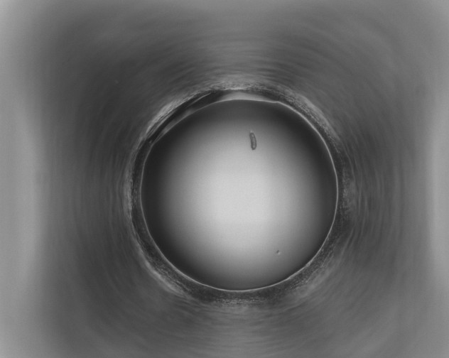 X0000111170530200907011351