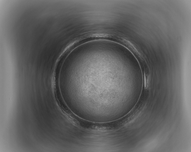 X0000111170531200907011351