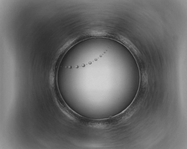 X0000111170533200907011351