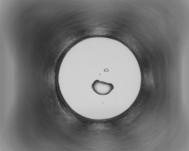 X0000111170534200907011351