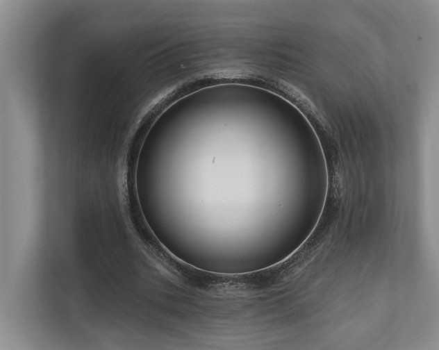 X0000111170535200907011351