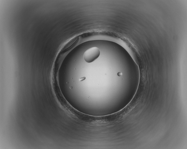 X0000111170536200907011351