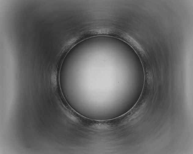 X0000111170537200907011351