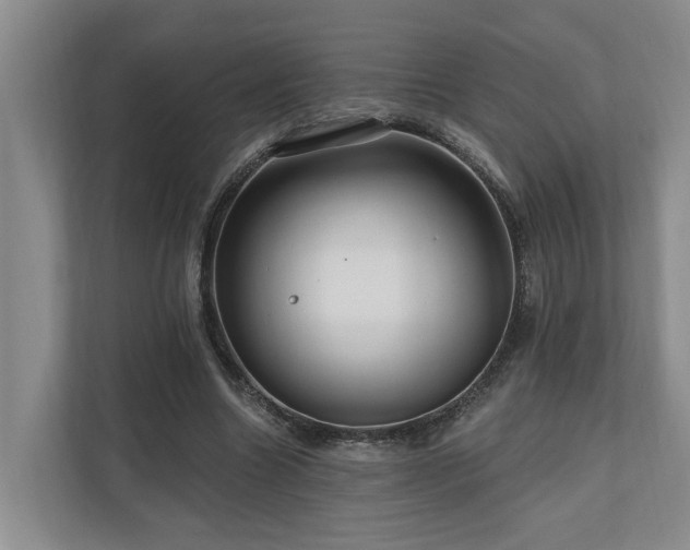 X0000111170538200907011351