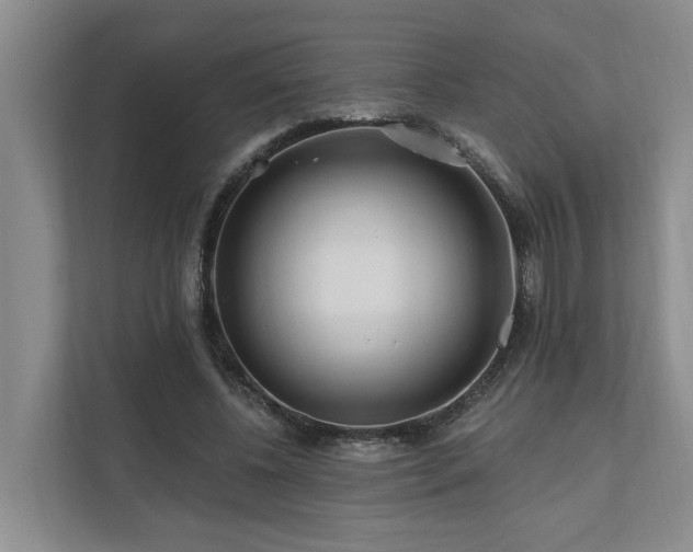 X0000111170540200907011351