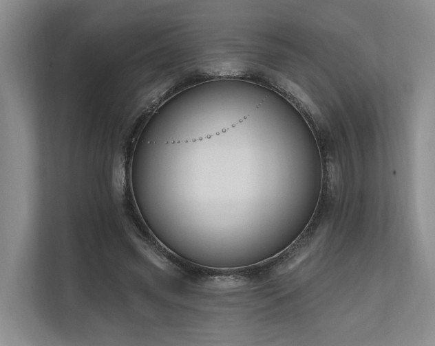 X0000111170541200907011351