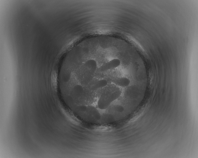 X0000111170542200907011351