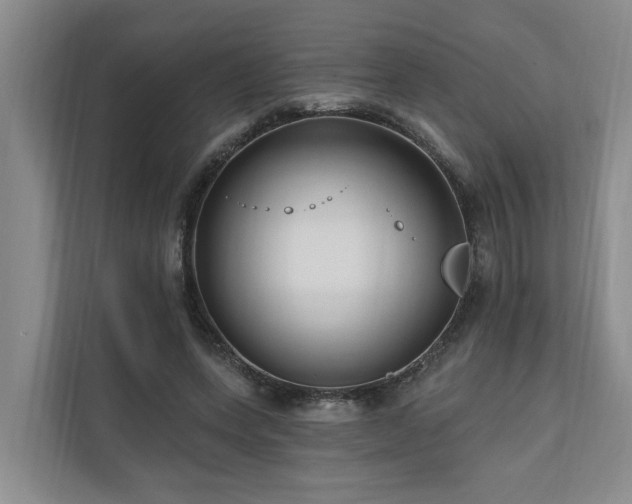 X0000111170543200907011351