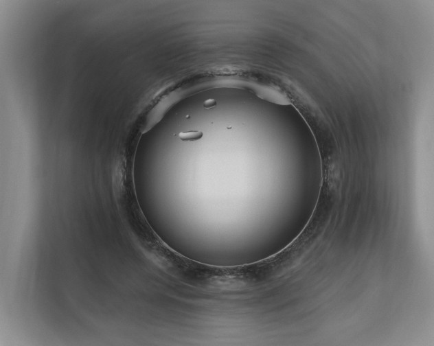 X0000111170544200907011351