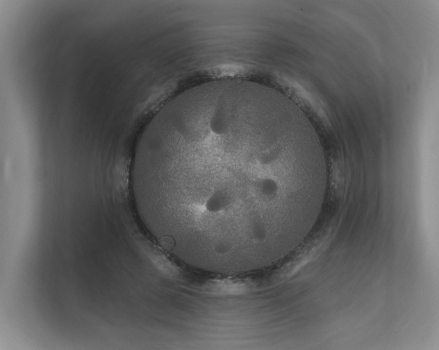 X0000111170545200907011351