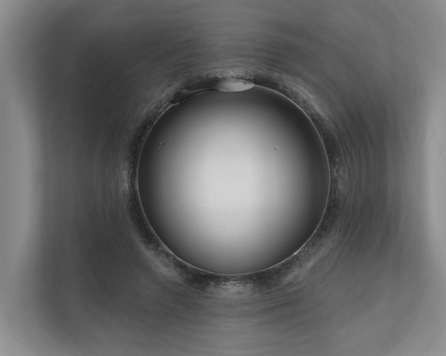 X0000111170546200907011351