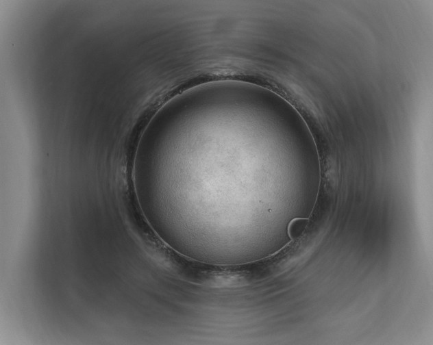 X0000111170547200907011351