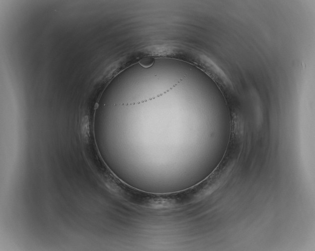 X0000111170549200907011351