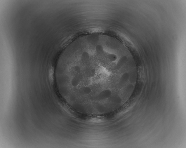 X0000111170550200907011351