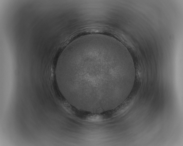 X0000111170551200907011351